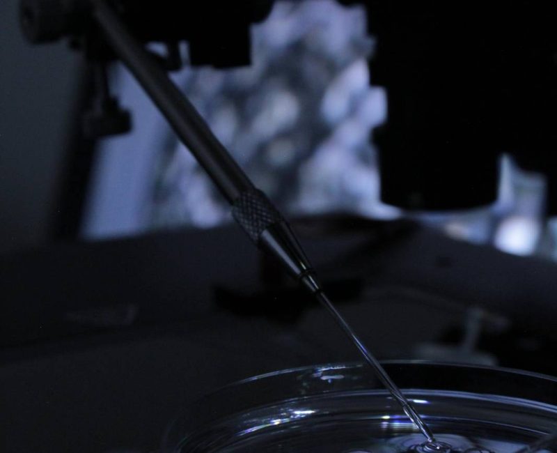 signal-2025-11-03-112943_008